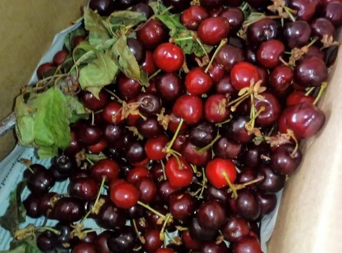 Molina Real 호텔 몰리나세카