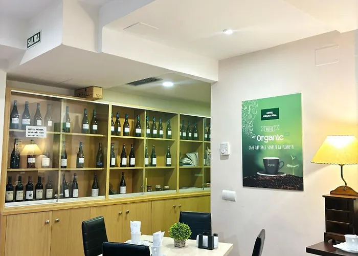 호텔 Molina Real 몰리나세카