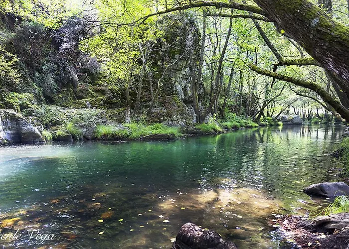 호텔 Molina Real 몰리나세카