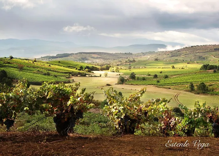 Molina Real 3* 몰리나세카